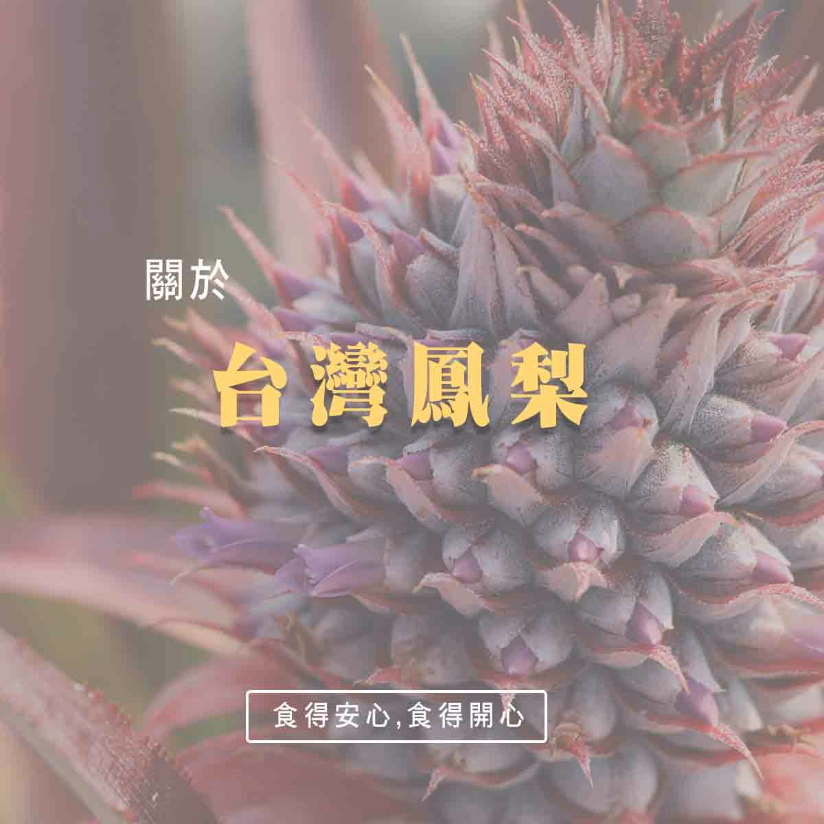 20210409115913