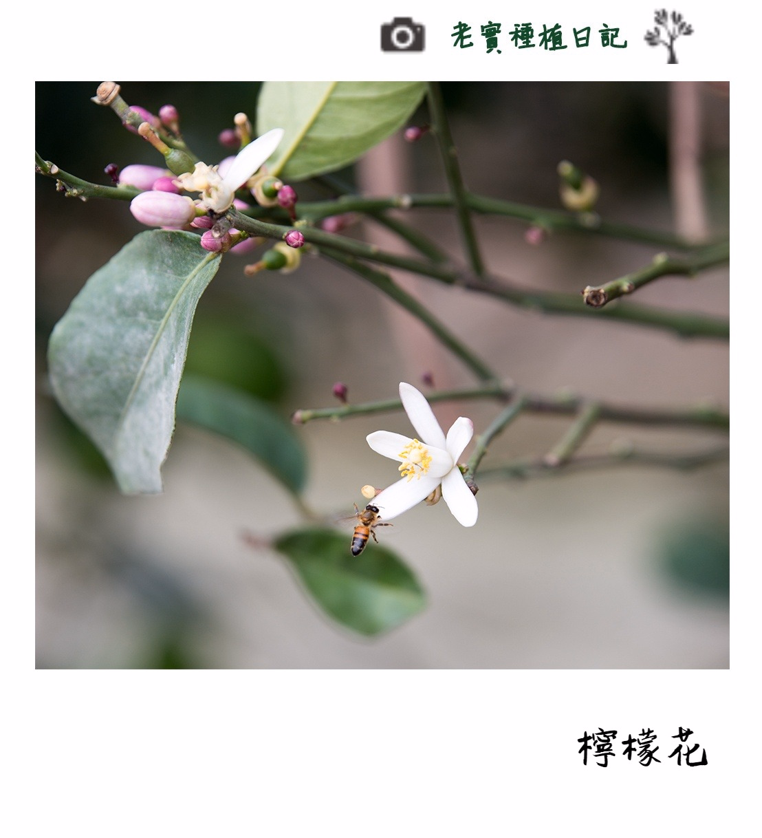 20201228103046