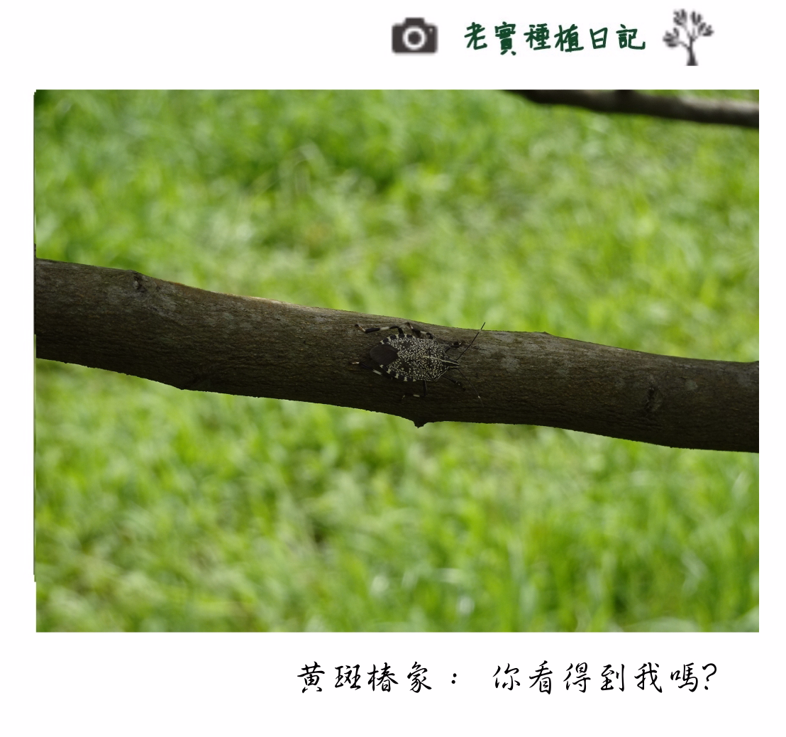 20201228102550